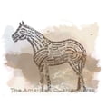 thumbnail image 2 of CafePress - The Quarter Horse In Typography - Large Beach Towel, Soft 30"x60" Towel with Unique Design, 2 of 3