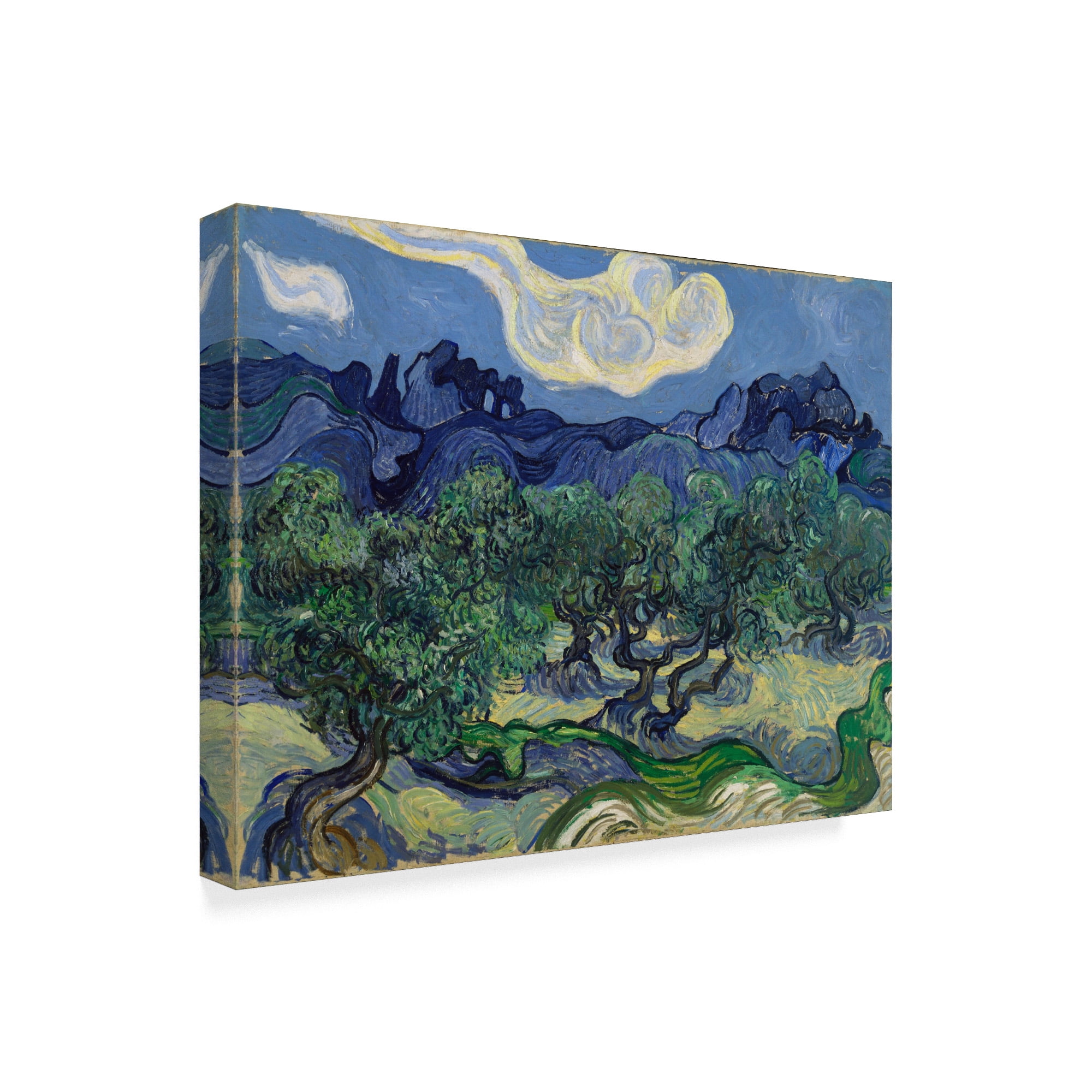 Trademark Fine Art 'The Olive Trees' Canvas Art by Vincent Van Gogh