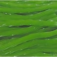 thumbnail image 2 of Amish Licorice Twists - Three 16 Oz Pkgs - Green Apple, 2 of 6