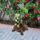 thumbnail image 4 of Frog Sitting Figurines Solar Lights Ornaments Lovely Housewarming Gift, 4 of 6