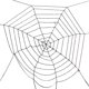 thumbnail image 1 of New Black Spider Web / Cobwebs for Decor CUTICAT Víspera de Todos los Santos, 1 of 7