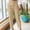 Khaki, variant on Pants for Women Trendy Green Straight-Leg Ankle Dress Chinos Pants Rigid Waist Modern Solid Refined Pants Green,M