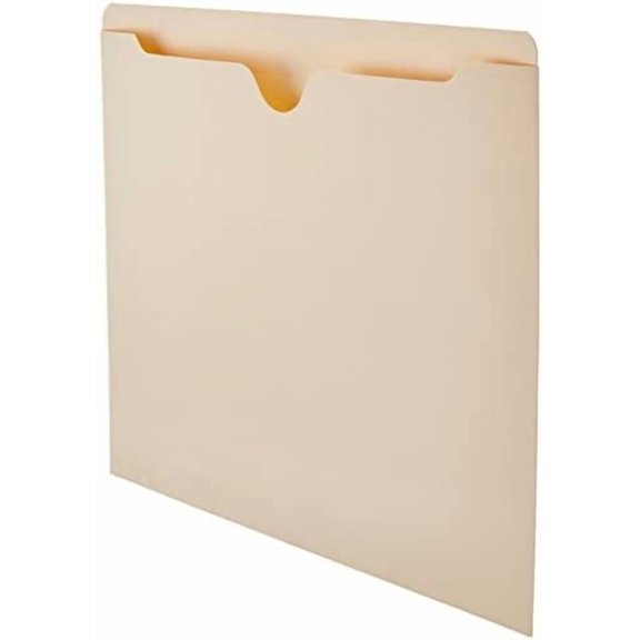 Basics File Folders Jacket, Reinforced Straight-Cut Tab, Flat-No Expansion, Letter Size, Manila, 100-Pack - AMZ600