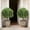 White, variant on Artificial Boxwood Trees in Ground, 23.6" Faux Outdoor Garden Greenery, Plastic Landscaping Bushes for Porch, Balcony, Patio Decoration