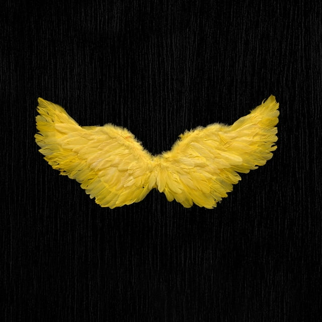 ONFD Plume d'Ange Performance sur Scène pour Festivals et Carnavals