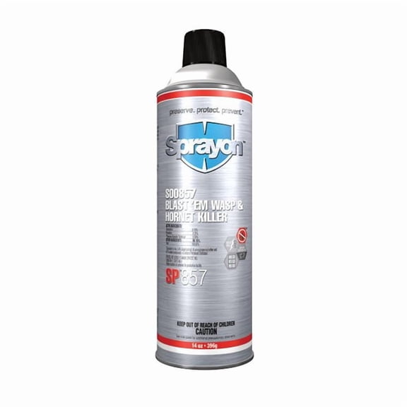 Krylon® Sprayon® Blast'Em™ SP857 Wasp & Hornet Killer