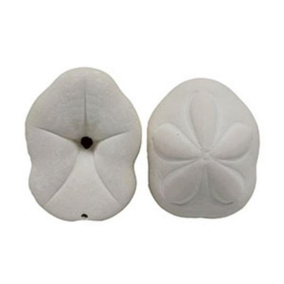 U.S. Shell 08008 Sea Biscuit - 2 Piece