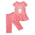 thumbnail image 5 of Zwiiyzr 1-10 Years Little & Big Girl Summer Outfits Cute Bunny Ruffle Short Sleeved Flutter Sleeve Elastic Waist Cropped Pants Daisy 2Pcs Clothing Set Pink, 5 of 5