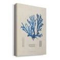 thumbnail image 2 of Blue Marine Algae IX Premium Gallery Wrapped Canvas - Ready to Hang, 2 of 9