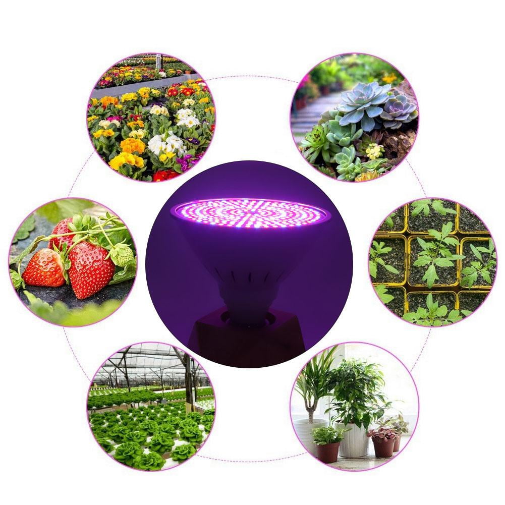 Herwey Garden Plant Light,290LED Single Head LED Plant Light Bulb