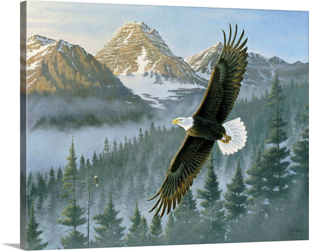 Great BIG Canvas "Soaring Eagle" Canvas Wall Art