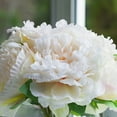 thumbnail image 3 of ENOVA FLORAL Artificial Peony Flower with Vase, Fake Flowers Arrangement in Vase, Artificial Flower with Vase, Faux Peony in Glass Vase for Home Office Kitchen Decor, 3 of 4