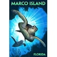 thumbnail image 1 of Marco Island, Florida, Sea Turtle Diving (36x54 Giclee Gallery Art Print, Vivid Textured Wall Decor), 1 of 3