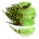 thumbnail image 3 of Plumas de pollo teñidas de 10 a 15 cm, plumas de faisán naturales para fiestas, manualidades, joyería, plumas, decoración, mayorista, 3 of 5