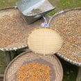 thumbnail image 4 of Raindrops 1Pcs Bamboo Tray Beige 16.5in Round Kitchen Multi-Purpose Basket for Catering, 4 of 8