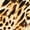 Caterina Cheetah, variant on INC International Concepts Womens Leopard Printed Cold Shoulder Knit Top Caterina Cheetah 2XL