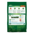 thumbnail image 2 of Scotts Turf Builder Southern Lawn Fertilizer, 15,000 sq. ft., 42.18 lb, 2 of 9