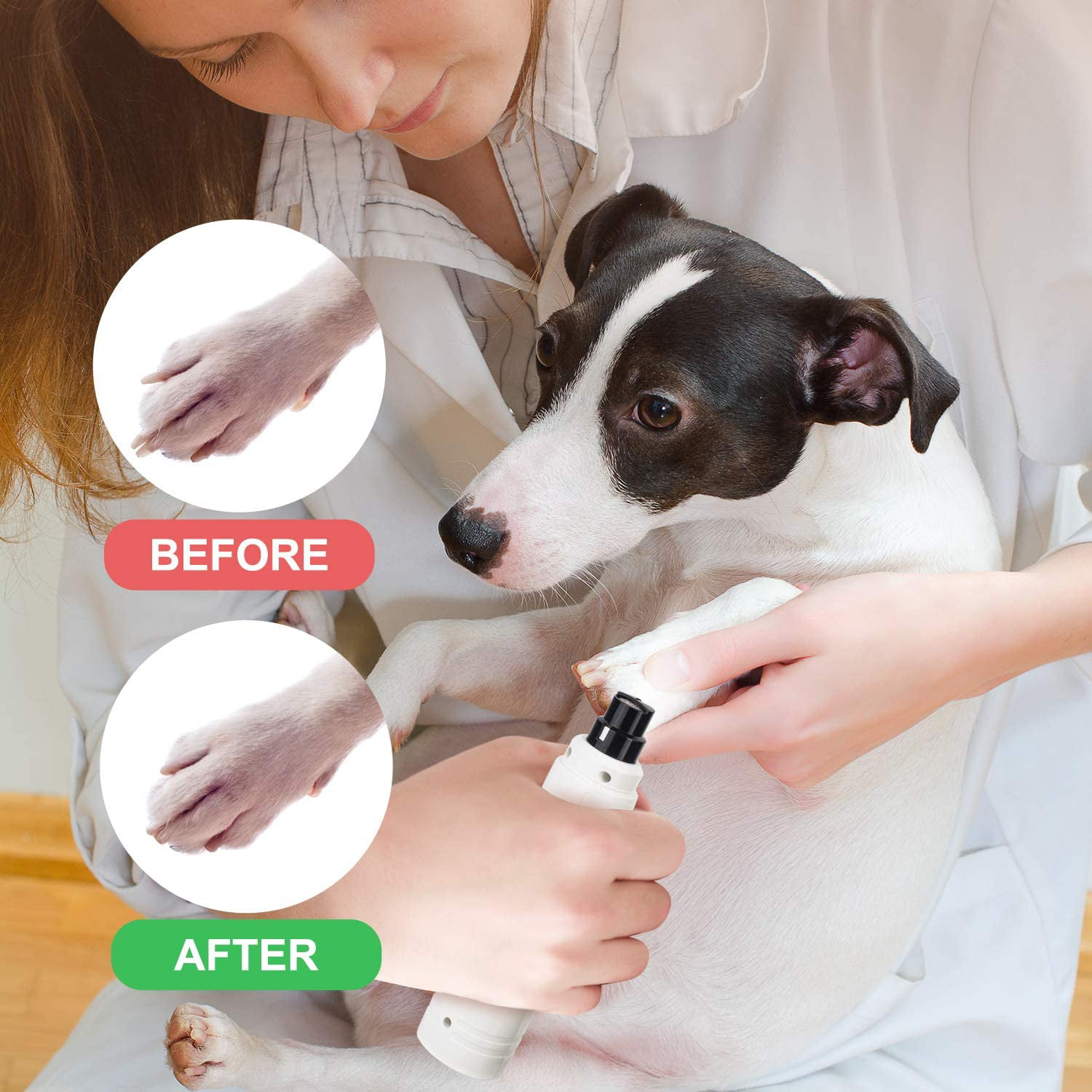 8775円 お得なキャンペーンを実施中 新品 Casfuy Dog Nail Grinder with LED Light - Upgraded 2-Speed Electric Pet Trimmer Powerful Painless Paws Grooming Smoothing