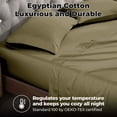thumbnail image 4 of BNM Egyptian Cotton 300 Thread Count Sheet Set, Split King, Sage, 4 of 8