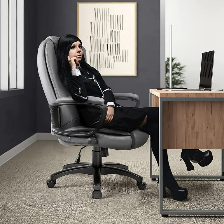 Ergonomic Desk Chairs & Office Chairs