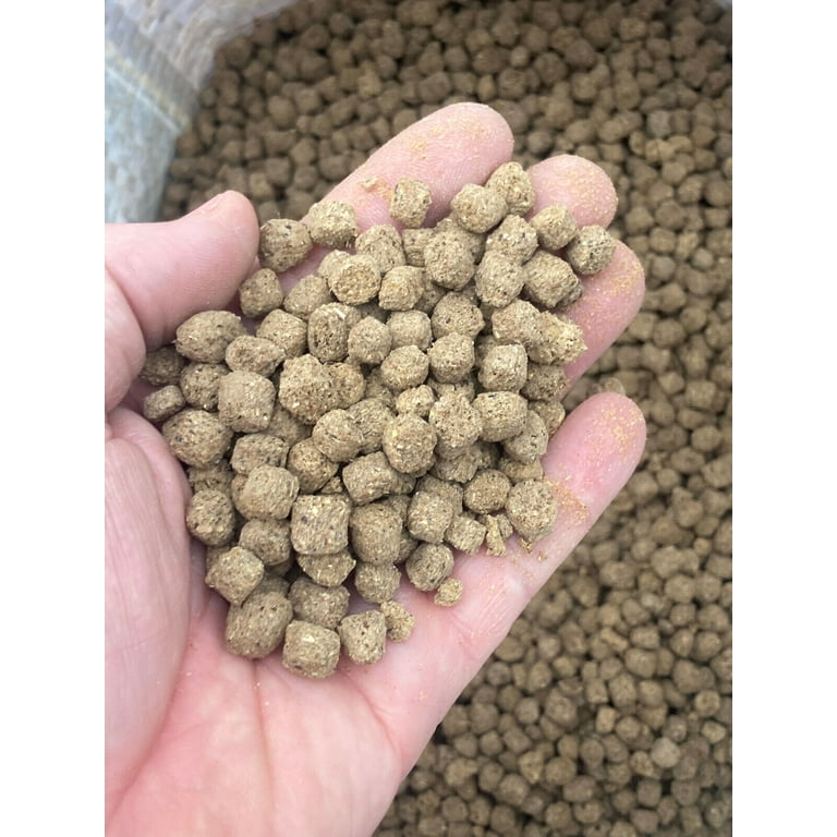 New Floating Fish Food for Pond Catfish and other Pond Species Protien Walmart