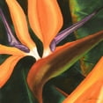thumbnail image 2 of Higby, Jason 20x20 White Modern Wood Framed Museum Art Print Titled - Bird of Paradise Tile IV, 2 of 4