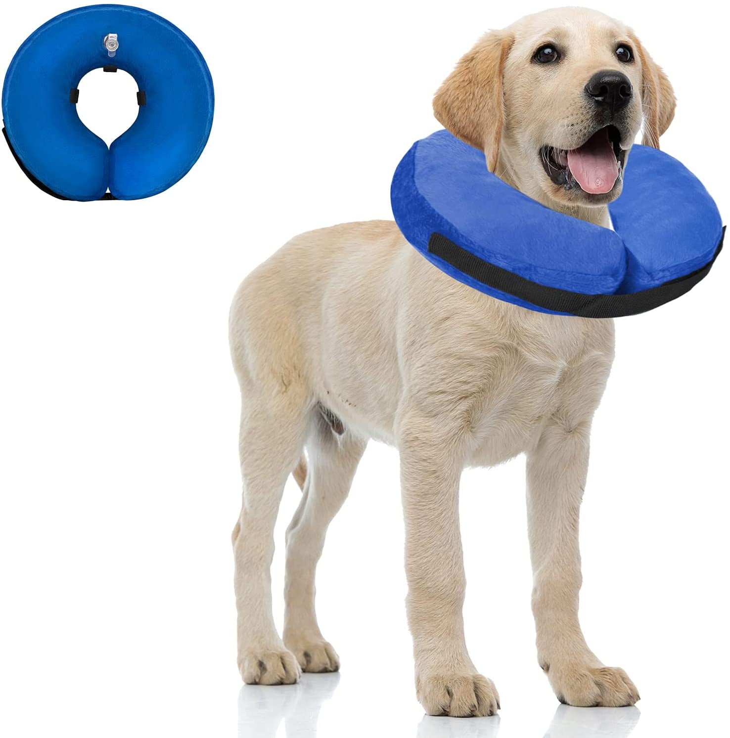 Can Dogs Sleep With Inflatable Collar
