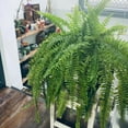 thumbnail image 6 of 1Pack Lifelike Light Impervious Man Made Fern Fern Green With Realistic Fern Stems Ideal Artificial Outdoor Flowers, 6 of 9