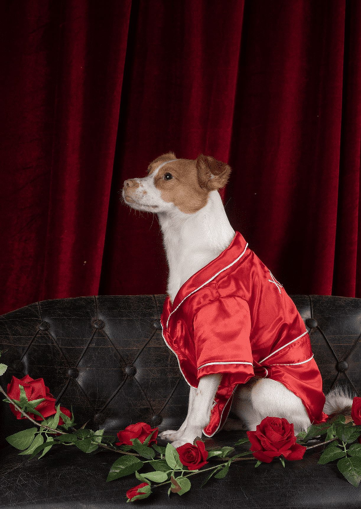 Vibrant Life Valentine's Day Pet Robe, XOXO, Red, Medium
