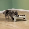 thumbnail image 1 of Comedero Alto Ergonómico Mascotas Small Ideal Razas Pequeñas Rimax, 1 of 7
