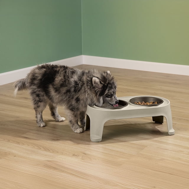 Comedero Alto Ergonómico Mascotas Small Ideal Razas Pequeñas Rimax