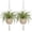 Ivory White, variant on 2 Pack 41 48 Inch Large Macrame Plant Hanger Rope to Hang Flower Pot Plant Holder for Indoor Outdoor Decorations, 4 Legs (Linen Color)