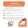 thumbnail image 3 of Alimento húmedo para perro Full life salmon con espinaca y zanahoria 16 Pack alutray display, 3 of 4