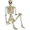 Seasons Life-Size Poseable 5ft Skeleton Halloween Decoration