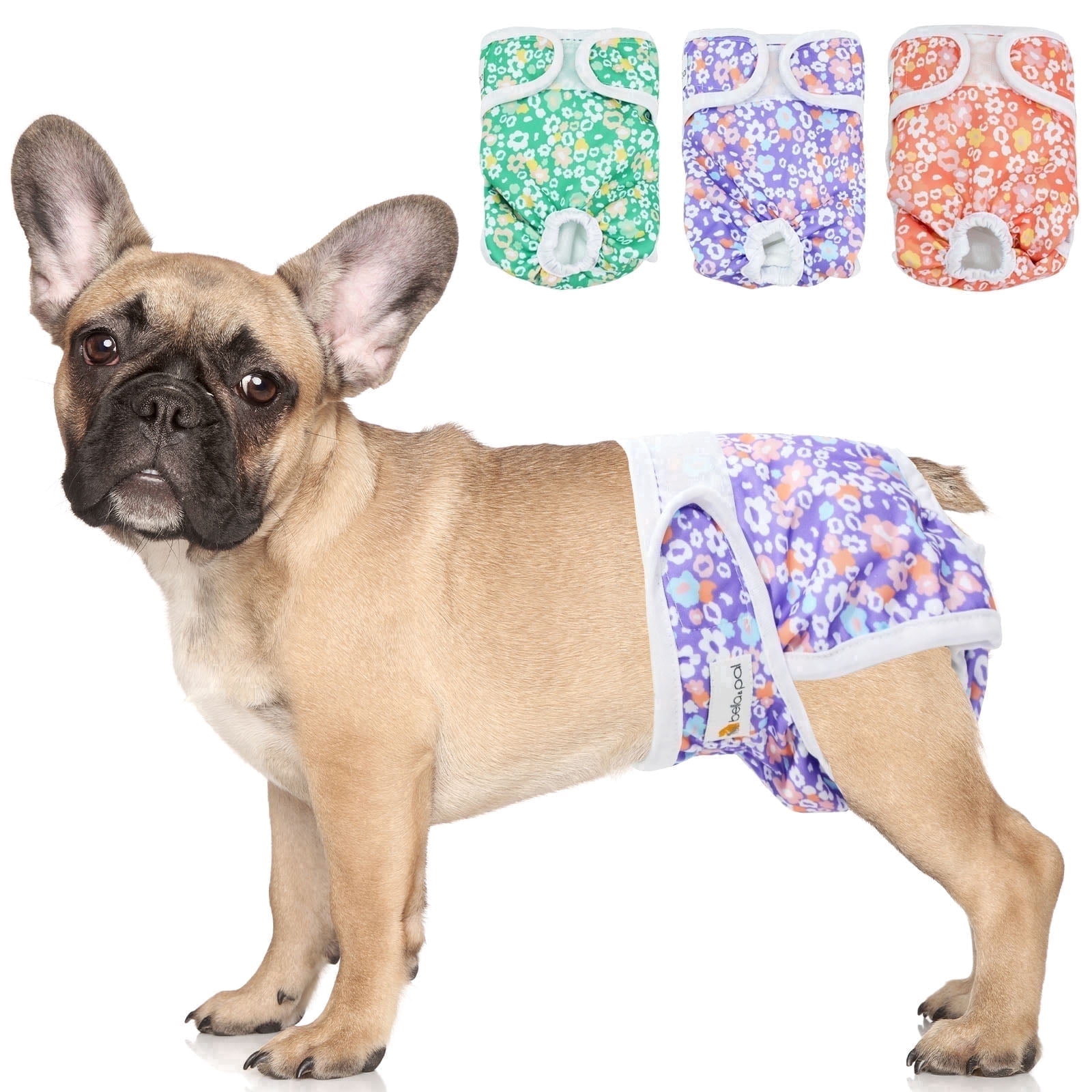 BELLA & PAL Pink & Purple & Green Female Dog Diapers, 3-Pack, Highly Absorbent Washable Diapers for Small Dogs, Leak-Proof Puppy Diapers, XS