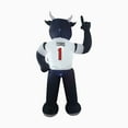 thumbnail image 3 of Houston Texans Inflatable Mascot, 3 of 5