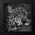 thumbnail image 2 of Grey, Jace 12x12 Black Modern Framed Museum Art Print Titled - Animal Instincts Black And White Mate, 2 of 5