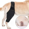 Dog Knee Brace , Dog Knee Brace for The Recovery of The Dog's hind Leg