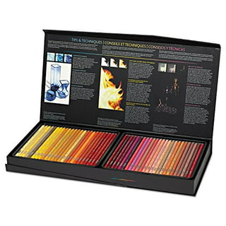 QISIWOLE Premier Colored Pencils, Art Supplies for Drawing, Sketching,  Adult Coloring