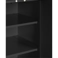 thumbnail image 5 of 18" x 18" 2-door wall cabinet in black, 5 of 5