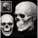 thumbnail image 1 of Máscaras Hombres Aterrador,Espeluznante Máscara De Calavera De Cabeza Completa Con Mandíbula Móvil, Adul, 1 of 5