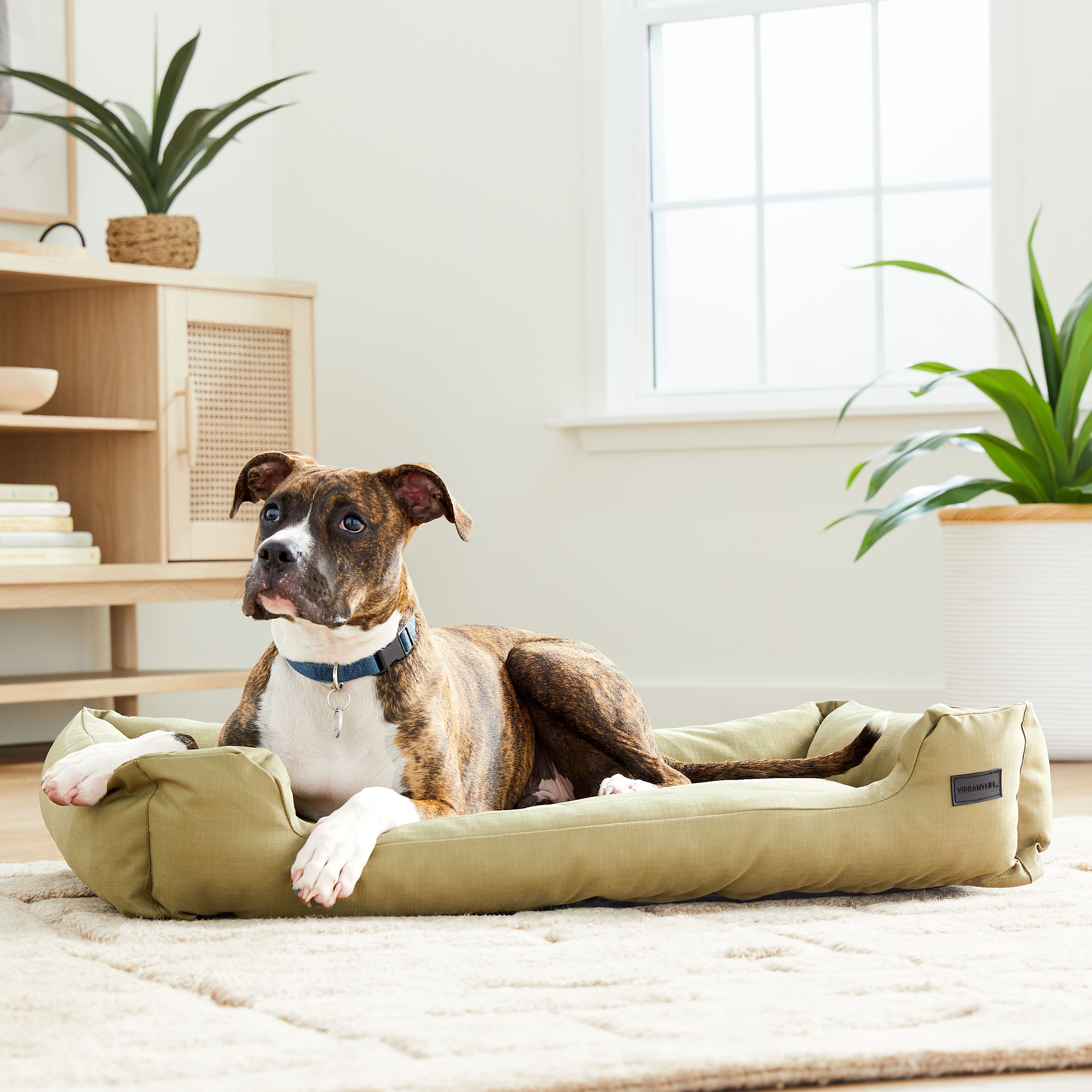 Vibrant Life Outdoor Sofa Dog Bed, Olive, Durable, Washable, 36' x 26"