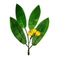 thumbnail image 3 of (Tipo B doble flor sombra fruta de arándano) decoración de arreglo floral de hoja de rododendro, 3 of 14