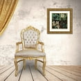 thumbnail image 3 of Catesby, Mark 15x15 Gold Ornate Wood Framed with Double Matting Museum Art Print Titled - Graphic Botanical Grid V, 3 of 4