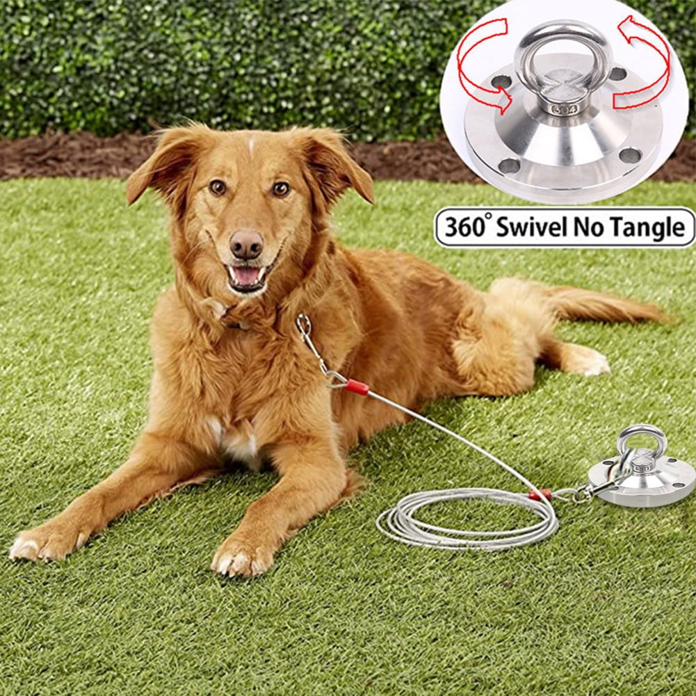 dog leash yard anchor