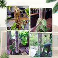 thumbnail image 7 of Plastic Moss Pole, Extended to 25Inch, Sphagnum Moss is Included in the Plant Pole, Moss Pole for Plants, Moss Poles,A, 7 of 7