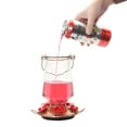 thumbnail image 4 of Perky-Pet Ready-to-Use Red Hummingbird Nectar Can, 16 fl oz, 4 of 6