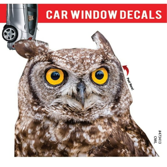 Car Window Decal - 3D - (Owl)