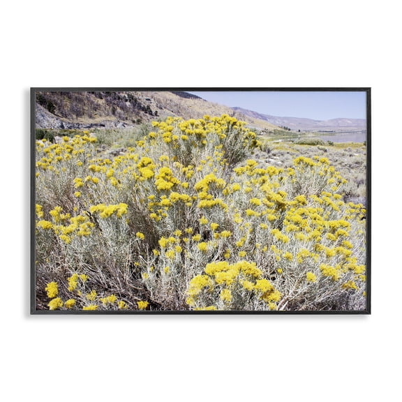 Stupell Industries Yellow Flowers in Arid Meadow Landscape & Nature Photography Black Framed Art Print Wall Art, 18 x 12