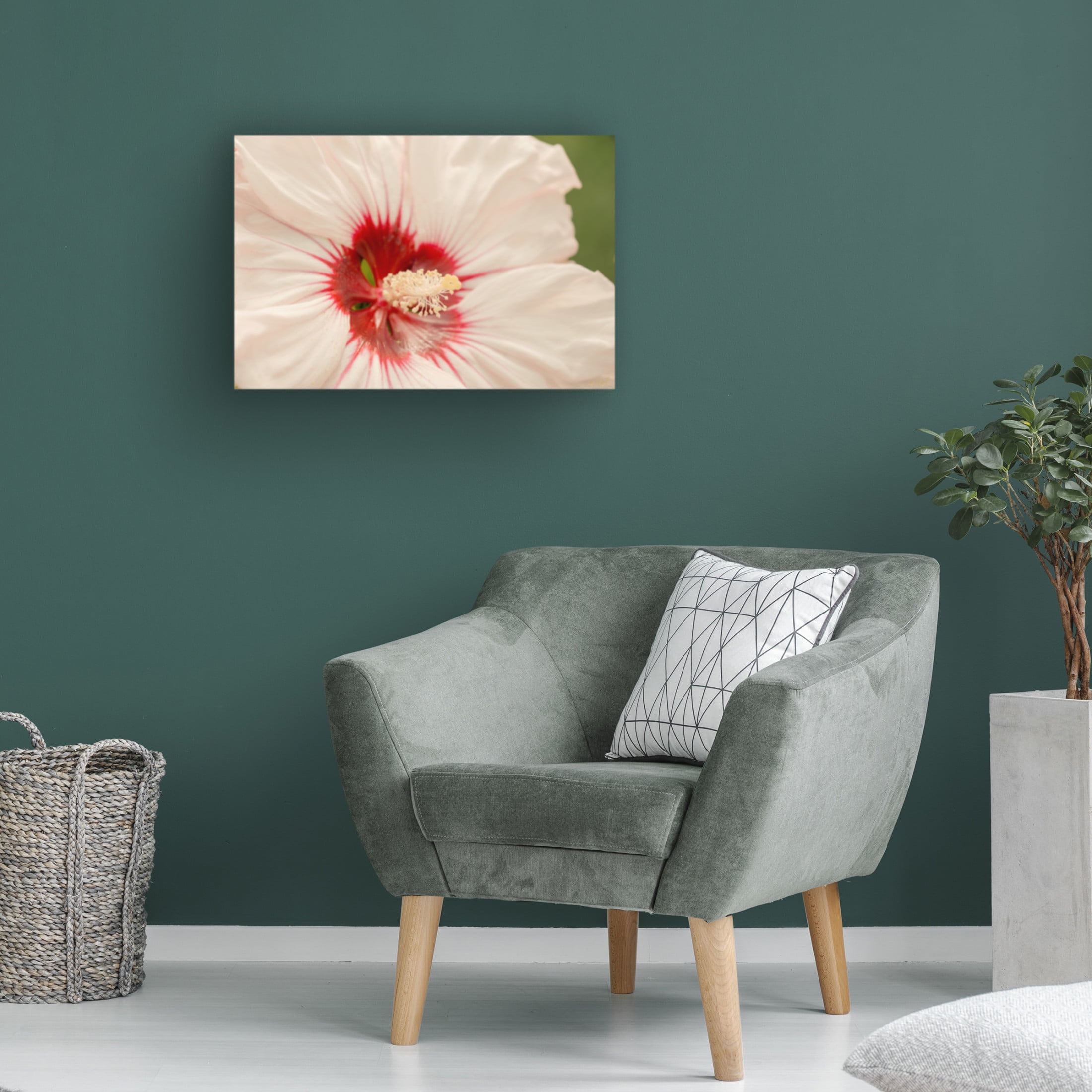 Canvas Wall Art - Life BeautifuLEE 'Up Close White and Red 2' Wall Art for Living Room, Bedroom, or Office Décor by Trademark Fine Art - 24 x 16 Inches